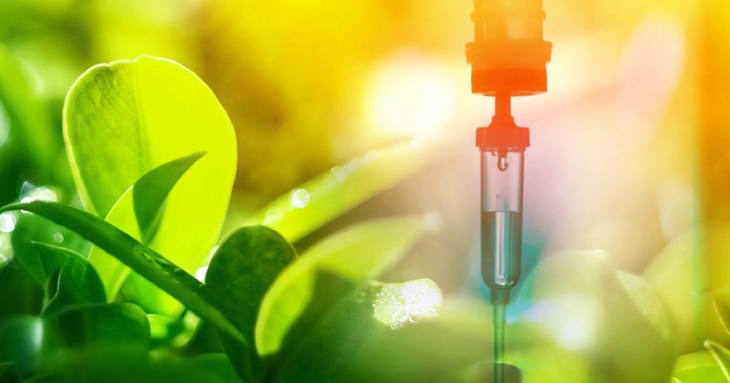 IV drip chamber with fluid against a blurred background of green leaves and sunlight.